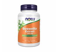 Boswellia Extrait 250 MG 120 Capuchons Par NOW Foods