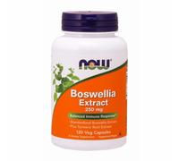 Boswellia Extrait 250 MG 120 Capuchons Par NOW Foods