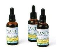 Extrait de prêle des champs Plantis sans alcool 50ml