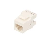 Extralink Keystone Dose CAT5E UTP module réseau pour mur et panneau de brassage