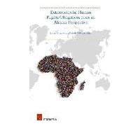 Extraterritorial Human Rights Obligations From An African Perspective