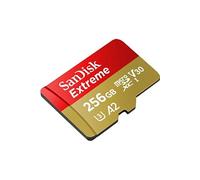 Extreme - Carte mémoire flash - 256 Go - A2 / Video Class V30 / UHS-I U3 / Class10 - microSDXC UHS-I