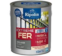 Extrême fer gris acier RAL 7012 brillant - RIPOLIN - 2 L