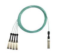 Extreme Networks 10424 Nouveau