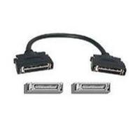 Extreme Networks 16107 Nouveau