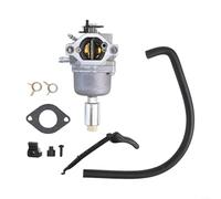 EXTRWORY Kit de remplacement de carburateur pour moteurs 14-18HP compatible avec 698445 698620 699109 699937 799727