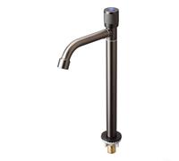 EXTRWORY Robinet de lavabo froid simple en acier inoxydable avec buse rotative pour évier de cuisine Finition gris chromé pour petit espace de salle de bain (L gris)