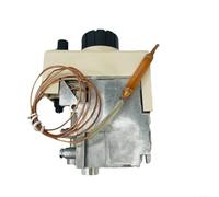 EXTRWORY Vanne de commande thermostatique à gaz style papillon mécanique avec régulation de pression 50 mbar pour appareils de chauffage en acier inoxydable argenté