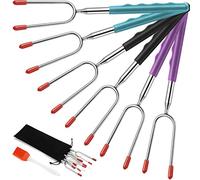 EXTSUD Brochettes à Barbecue en Acier Inoxydable Rétractable Fourchettes BBQ Extensibles Réutilisables avec Brosse Accessoires pour Barbecue Grill