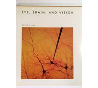 Eye, Brain, and Vision