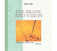 Eye, Brain and Vision