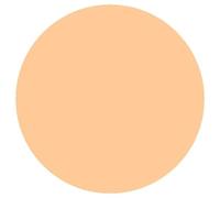 Eye Care Cosmetics Pinceau Anti-Cernes Beige Foncé (Teinte : Beige Clair) Multicolore