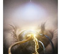 Eye of Providence [Import Allemand]