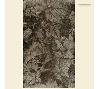 Eyeless in Gaza - Rust Red September [Import]