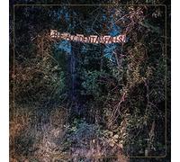 Eyelids - The Accidental Falls