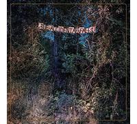 Eyelids The Accidental Falls (Vinyl) 12" Album