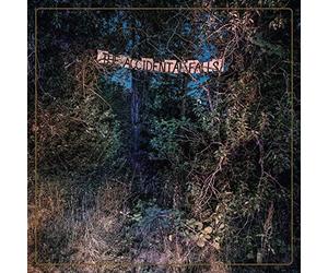 Eyelids the - The Accidental Falls