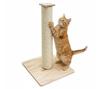 eyepower 62 cm Griffoir pour Chats - 9,2 cm Poteau à Griffer en Corde Sisal avec Base en Bambou - Petit Arbre à Chat Design Contemporain avec Tronc M8 - Colonne pour Chaton et Adulte - Socle en Bois