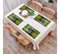 EYLOZS Sets de Table Lavables,Lot de 4 Sets de Table Plastique PVC,Résistant à la Chaleur,Antidérapant,Facile à Nettoyer,Collection Japonaise, Cascade et étang sous Le Pont Riflessi di fior,45x30cm
