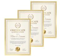 EYMPEU 3 Cadres A4 Aluminium Brossé Doré | Accroche Verticale et Horizontale, pour Photos, Affiches et Diplômes.