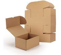EYMPEU Boîte en Carton 25.4x17.8x12.7 cm, Lot de 20 Boites Carton d'Expédition
