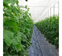 EYRMQWJPC Les Jardins sont tissés, Couverture de Sol Jardin tissée en PP, for paillis Plantes, résistante aux déchirures et très(0.91x15m/3x50ft)