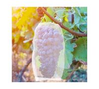 EYRMQWJPC Sacs de Protection des Fruits, Lot de 200 Sacs en Filet for la Protection des Fruits et des Plantes, Plusieurs Tailles(10x15cm)