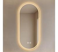 EYTVYUWPT 40x70cm|50x80cm|50x100cm|60x100cm Miroir Ovale LED avec 3 Couleurs de lumière, Interrupteur Tactile Intelligent, Miroir Mural sans Cadre dépoli intérieur(Anti-Fog,50x100cm)