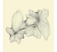 EYVIND KANG - Plainlight