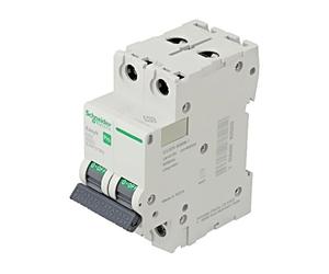 EZ9F57263 Interrupteur de surintensité 230/400VAC lNn: 63A Pôle: 2 Caractère:...