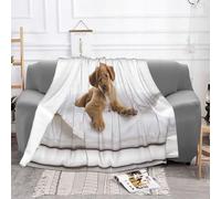 EZDLOWVBA Couverture polaire imprimée Golden Retriever pour canapé, canapé-lit, couverture confortable, pelucheuse, douce, légère et chaude pour toutes les saisons