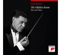 Ezio Buis - The Hidden Room (2025) CD Précommande