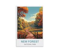 EZMLFA Peinture par numéros pour filles adultes Parc national de New Forest Peinture par numéros facile pour débutant Artisanat pour décoration murale Dessin 20x30cm