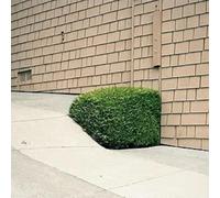 Ezra Feinberg - Soft Power (Clear Vinyl) [Import]