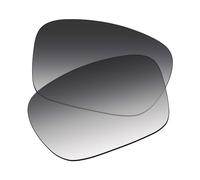 EZReplace Verres de rechange pour lunettes de soleil Ray-Ban Meta Wayfarer RW4008 53 mm, Dégradé de gris - Non polarisé, Taille unique