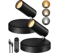 EZVALO Lot de 2 spots d'intérieur avec télécommande, 5500 mAh, rechargeables, éclairage LED sans fil avec minuterie et intensité variable, 3CCT, lumières d'affichage pour peinture de plantes, œuvres