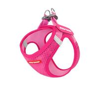 EzyDog Harnais Petit Chien - FORMFIT Harnais léger et réglable en Maille Respirante 3D avec Bandes réfléchissantes et Anneaux en métal - pour Chiots et Petits Chiens (L, Rose)