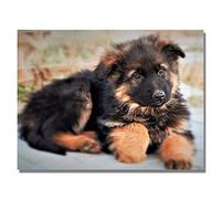 EZYHO 5D Diamond Painting,5D DIY Diamond Embroidery Shepherd Dog Pet Diamond Painting Cross-Stitch Kits 3D Diamond Mosaic 40x50cm nVc279
