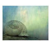 EZYHO 5D Diamond Painting,Full Diamond Embroidery Snail Shell 5D Diamond Painting Cross Stitch 3D Diamond Mosaic Needle Craft Gift 40x40cm nVc288