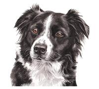 EZYHO DIY Diamond Painting Border Collie Dog Rhinestone Crystal Embroidery Pictures Cross Stitch Art Craft for Home Decor 40x40cm nVc195