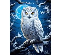 EZYHO Peinture diamant à faire soi-même Hibou Pleine Lune - Broderie diamant intégrale - Loisirs créatifs - Décoration murale - 50 x 60 cm