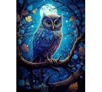 EZYHO Peinture diamant à faire soi-même Hibou Pleine Lune - Broderie diamant intégrale - Loisirs créatifs - Décoration murale - 50 x 50 cm