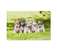 EZYHO Peinture diamant DIY « Comment le Grinch a volé Noël » 1 broderie diamant mosaïque ronde avec accessoires strass 30 x 40 cm