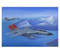 F-14d Super Tomcat - 1:48e - Hobby Boss G