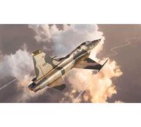 F-5E Tiger II Fighter 1:48 Plastique Model Kit Italeri