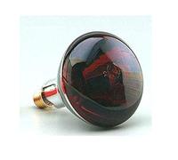 f-bright Lampe infrarouge E27 250 W Rouge 12,5 cm