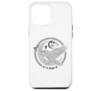 F CAW F Corbeau Nordique Viking Oiseau drôle Mauvais langage Coque pour iPhone 12 Pro Max
