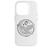 F CAW F Corbeau Nordique Viking Oiseau drôle Mauvais langage Coque pour iPhone 14 Pro