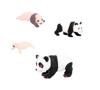 F Fityle 4 modèles de Cycle de Vie d'animaux Panda, Jouets cognitifs, Jouets éducatifs, décoration de Bureau de fête, Accessoires de Salle de Classe pour, Cycle de Croissance du Panda 3