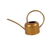 F Fityle Arrosoir décoratif en métal de 1000 ML pour Jardin, terrasse, bonsaï, Cour, Plantes d'intérieur et Fleurs